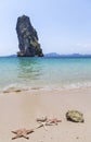 Starfish on the beach in Thailand selective focus on the starfish in the foreground