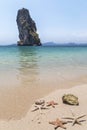 Starfish on the beach in Thailand selective focus on the starfish in the foreground