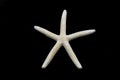 Starfish on black background Royalty Free Stock Photo