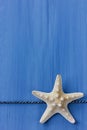 Starfish on a blue colored wood background Royalty Free Stock Photo