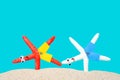 Starfish characters handstanding on the beach