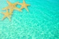 Starfish in Clear Ocean Water Royalty Free Stock Photo