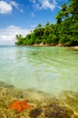 Starfish and Clear Water Royalty Free Stock Photo