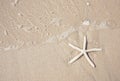 Starfish and clear water on the sandy beach Royalty Free Stock Photo