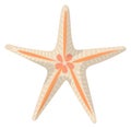 Starfish color icon. Sea beach animal symbol Royalty Free Stock Photo