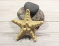 Starfish and colorful sea stones on a light background.