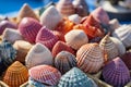 Starfish and seashell on the summer beach in sea water. Colorfull background Royalty Free Stock Photo