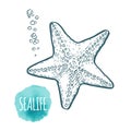 Starfish drawing on white background. Hand drawn seafood illustration. Royalty Free Stock Photo