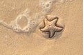 Starfish drawn on the beach sand being washed away by a wave. Foaming sea wave coming to wash a picture on wet yellow