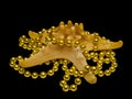 Starfish Entangled in Beautiful Golden Beads, Macro Shot, Isolated On Black Background Royalty Free Stock Photo