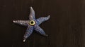 Starfish with evil eye Royalty Free Stock Photo
