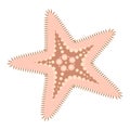 Pink Starfish flat icon. Sea animal cartoon style. Echinoderm. Underwater world Royalty Free Stock Photo