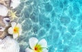 Starfish, flower and seashell on the summer beach in sea water. Summer background. Royalty Free Stock Photo