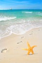 Starfish and Footprints on Beach Royalty Free Stock Photo