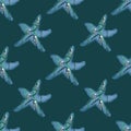 Starfish frame seamless animalistic pattern Royalty Free Stock Photo