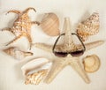 Starfish in glasses with shells on a light beige background, top view