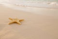 Starfish on golden sand beach with waves in soft sunset light Royalty Free Stock Photo