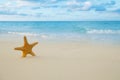 Starfish on golden sand beach with waves in soft sunset light Royalty Free Stock Photo