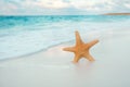 Starfish on golden sand beach with waves in soft sunset light Royalty Free Stock Photo