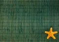 Starfish on green bamboo background Royalty Free Stock Photo