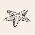 Starfish Hand Drawing Sketch Vector Illustration