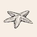 Starfish Hand Drawing Sketch Vector Illustration Royalty Free Stock Photo