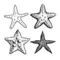 Starfish hand drawn sketch style set. Nature ocean aquatic underwater collection.