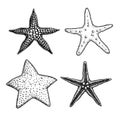 Starfish hand drawn sketch style set. Nature ocean aquatic underwater collection.