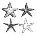 Starfish hand drawn sketch style set. Nature ocean aquatic underwater collection.
