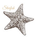 Starfish, hand-drawn vector illustration. Royalty Free Stock Photo