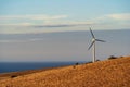 Starfish Hill Wind Farm in Cape Jervis Royalty Free Stock Photo