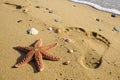 Starfish With Human Footprint Royalty Free Stock Photo