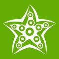 Starfish icon green Royalty Free Stock Photo