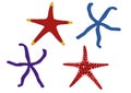 Starfish illustrations