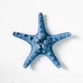 Blue starfish isolated on white background Royalty Free Stock Photo