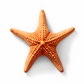 starfish isolated, starfish, white background, Royalty Free Stock Photo