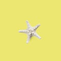 Starfish isolated on Yellow background, Clipping Path Royalty Free Stock Photo