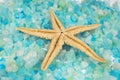 Starfish and mineral salts