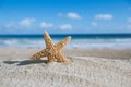 Starfish with ocean , beach and seascape Royalty Free Stock Photo