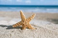 Starfish with ocean , beach and seascape Royalty Free Stock Photo