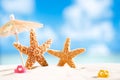 Starfish with ocean , beach and seascape