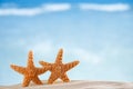 Starfish with ocean , beach and seascape Royalty Free Stock Photo