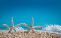 Starfish on ocean beach. Spring or summer vacations. Blue sky and ocean waves. Sea coast. Florida paradise. Tropical nature. Sea s Royalty Free Stock Photo