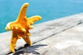 Starfish on an old wooden pier on the sea Royalty Free Stock Photo