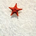 Starfish orange in wavy shallow water Royalty Free Stock Photo
