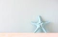 Starfish Royalty Free Stock Photo