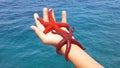 Starfish in the palm of your hand