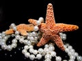 Starfish with pearls on black