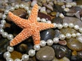 Starfish with pearls and rocks