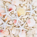 Starfish Pearls and Seashell Background